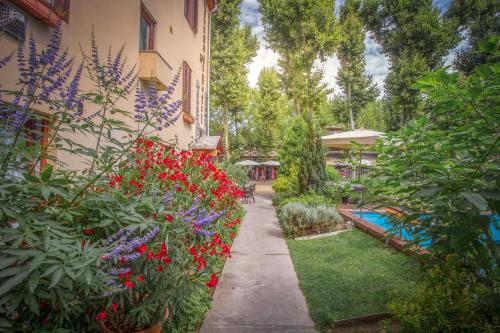 Renegade Hotel - image 13