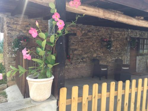  Casa da Chapinheira in São Pedro de Alva