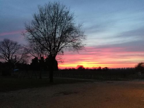  Agriturismo Le Giarine in Fogliano Redipúglia