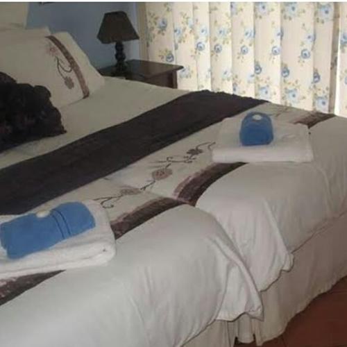 Bottlenose B&B in 坡特愛德華