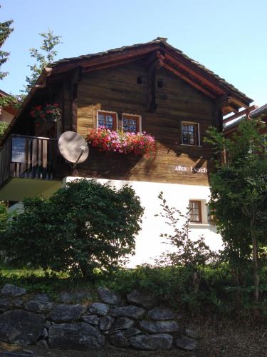 Alter Lärch in Blatten bei Naters, Schweiz