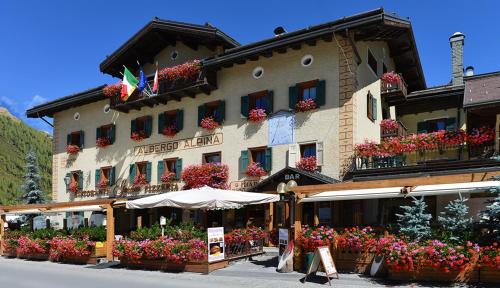 Hotel Alpina - image 10