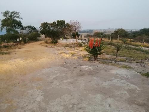 Facilities, Rocks And Aloes Guest Lodge in San Lameer