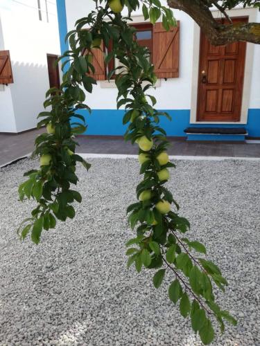  Casa da Árvore Velha, vista para Baleal e Berlengas in Atouguia da Baleia