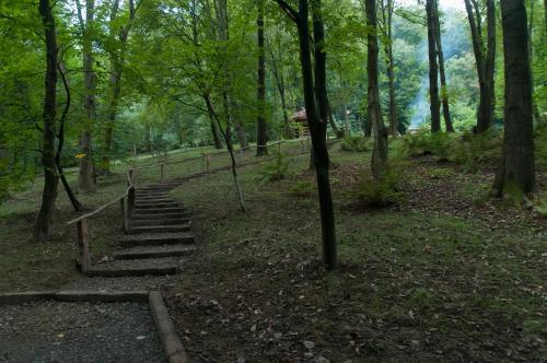 Ekosamotnia - image 2