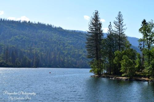 Yosemite Foothill Retreat