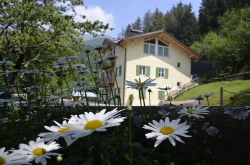 Vello d'Arco a quota 1000 mt gîte à louer Ronzo-Chienis