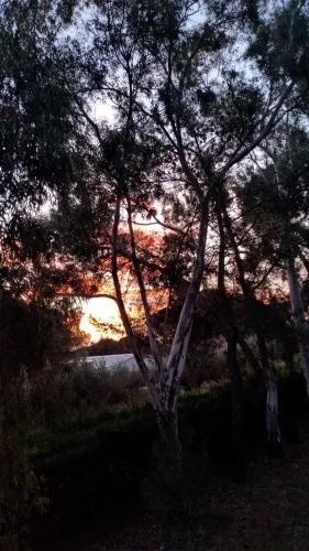 Villa Morgante B&B – Pedara, CA
