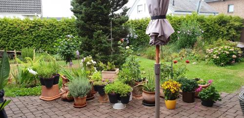 Gästezimmer Junglas Gästezimmer Junglas