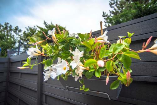  Amsterdam Beach Zandvoort Studio s in Zandvoort