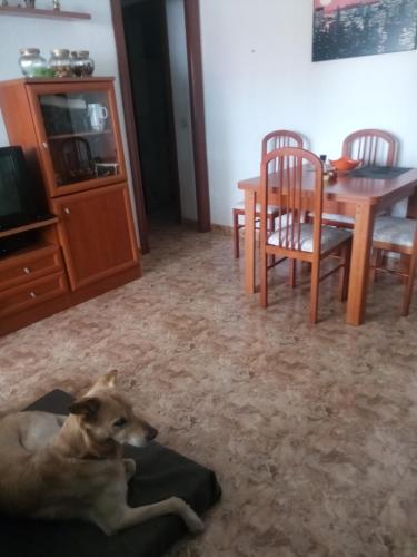 Létesítmények, Arroyo de la Miel centro in Arroyo de La Miel