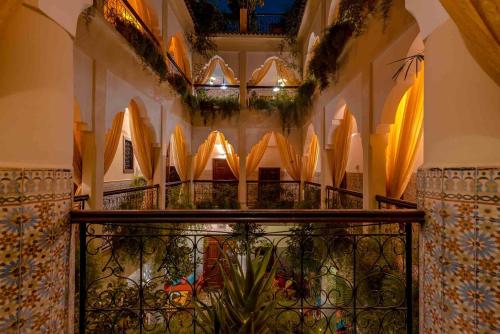 Abelia Riad 4