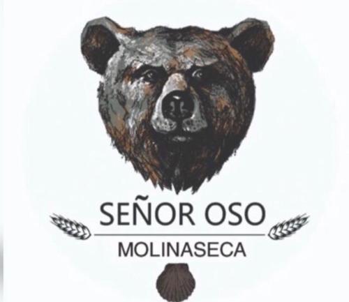 SEÑOR OSO