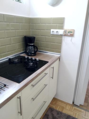 One-Bedroom Apartment image 8
