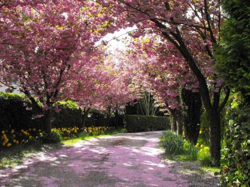 Whitmore, Lancaster (fotografie 7)