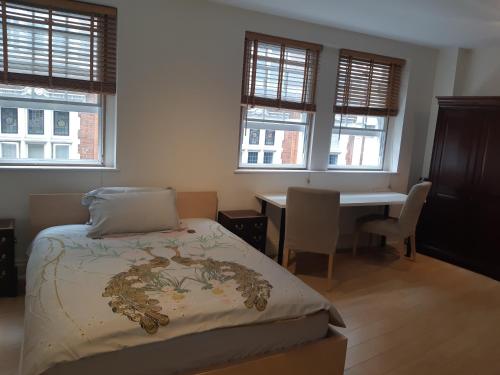 Covent Garden Penthouse, Londýn (fotografie 7)