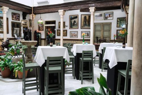 Casa Palacio Pilar del Toro - image 13