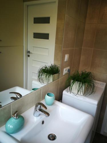 Lemon Tree Apartment