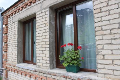 HQ of Nove in كازبيجي