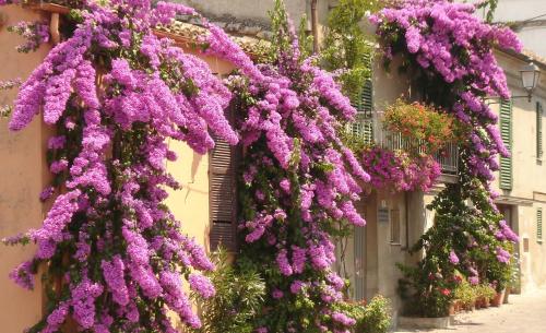 Suites Rome - image 4