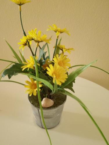  Rooms 4 You Portimão in Portimão