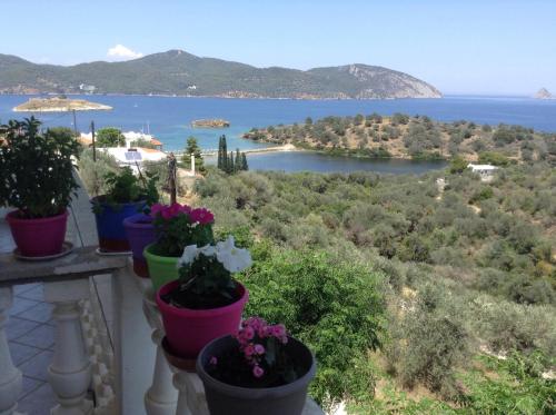  Appartement Aliki in Galatás