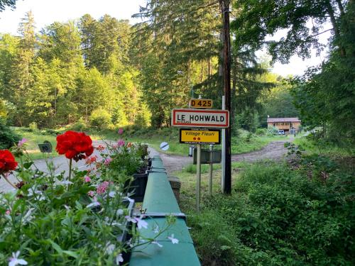 Gîte au cours d’eau (Gite au cours d’eau) in Le Hohwald