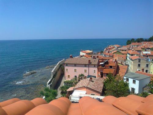  Apartments Edo, Pension in Novigrad