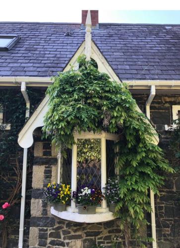 Ballycastle Cottage