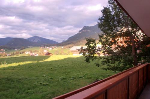 Residence Viktoria - image 8