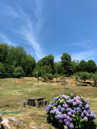 Podere del Piccini con piscina in val d Orcia Toscana