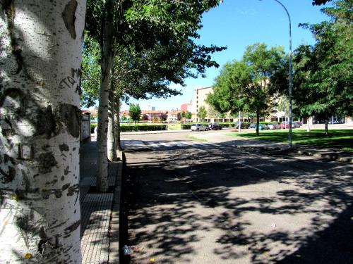 www Parques de la Catedral travel com Parking privado Gratis