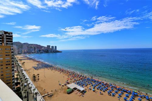 Estacha 2-L - image 10