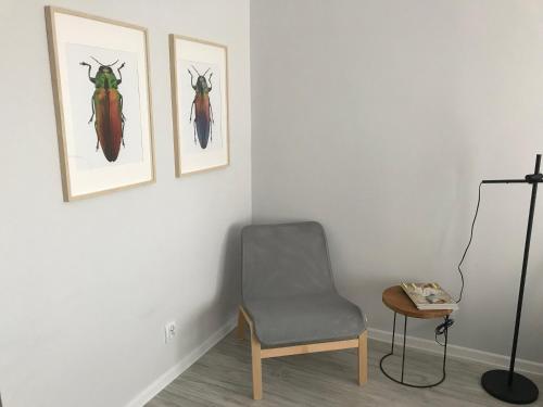 APARTAMENT KILIŃSKIEGO 9