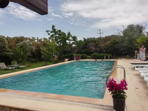 A Hotel Com Dodo House Bodrum Hotel Bogazici Turkey Price Reviews Booking Contact