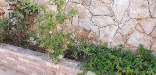 Dona Ana Guesthouse - image 4