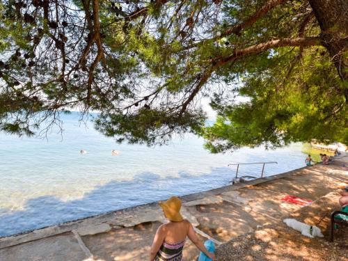  Apartment Matko.1 in Rovanjska