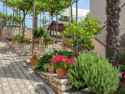  Apartment Folo.4 in Tar