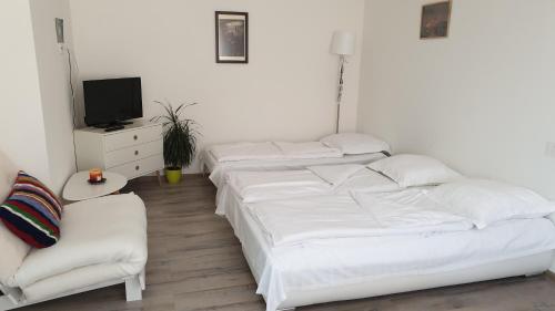 One-Bedroom Apartment image 1
