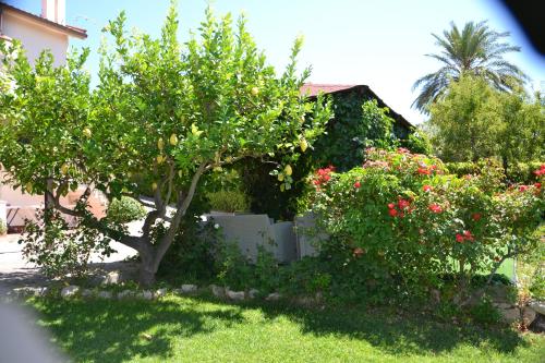 B&B Due Fontane