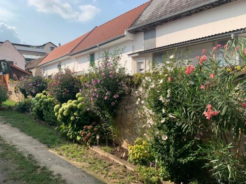 ทัศนียภาพภายนอกโรงแรม, Ferienwohnungen zum Briefmarkenhaus in มอร์บิสช์ แอม เซ