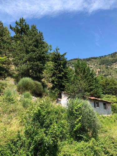 Maison de caractère Toudon - Arrière Pays Niçois - Proche Nice