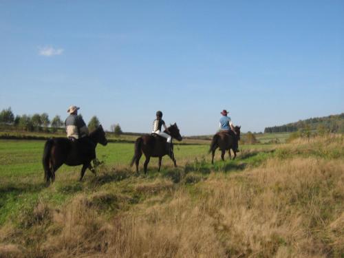 Świerkowe Rancho