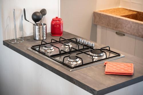  Bossema Luxury Countryhouse in Cavaion Veronese