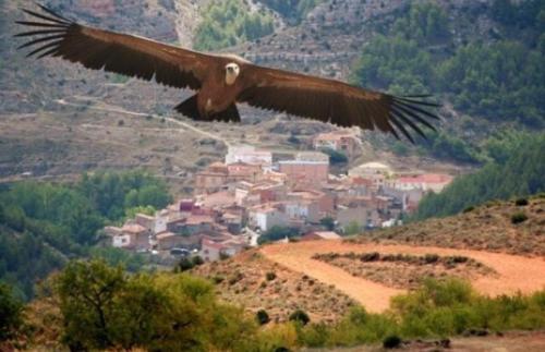 Apartamento Rural La Cascada de Calmarza