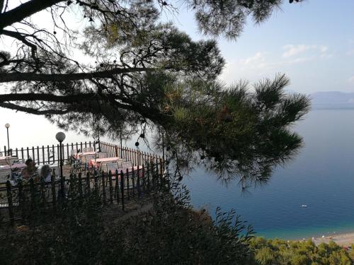 Étterem, Angel's Place by the Sea in Diakopto