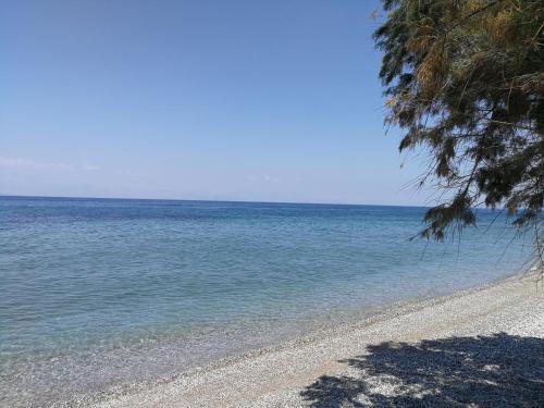  Angel's Place by the Sea in Diakopto