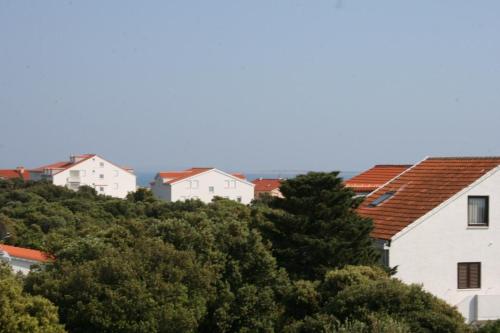 Apartments with a parking space Mandre Pag - 6473 - image 7