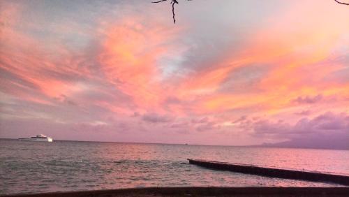 Grand studio les pieds dans l'eau, centre ville