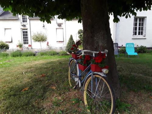 Chambres d'Hôtes de l'Ile du Saule